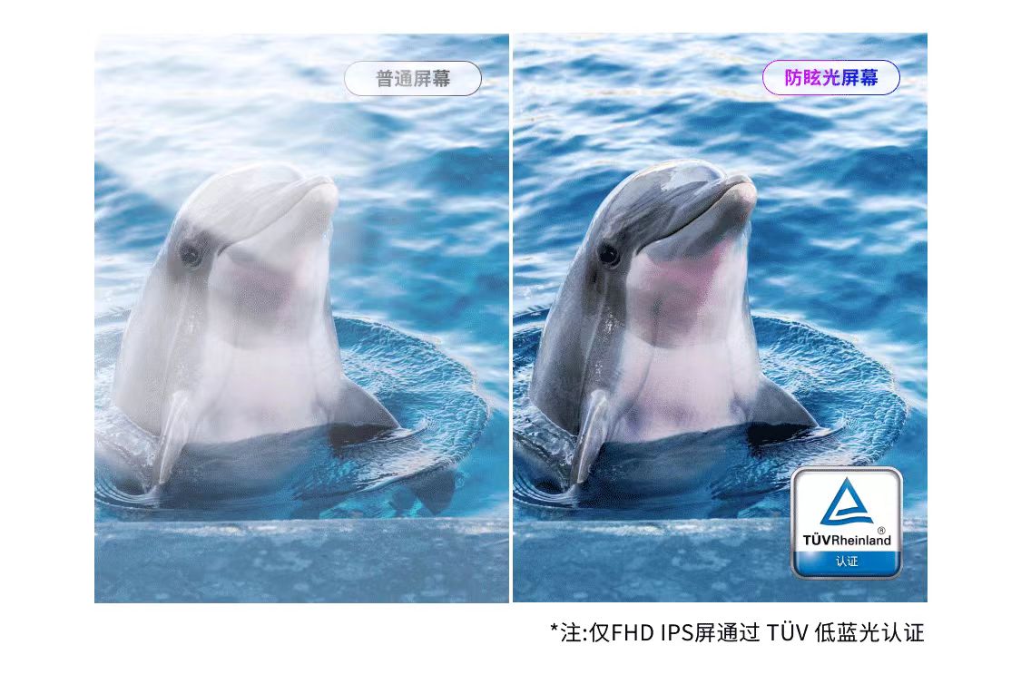 微信图片_20250314094435.jpg