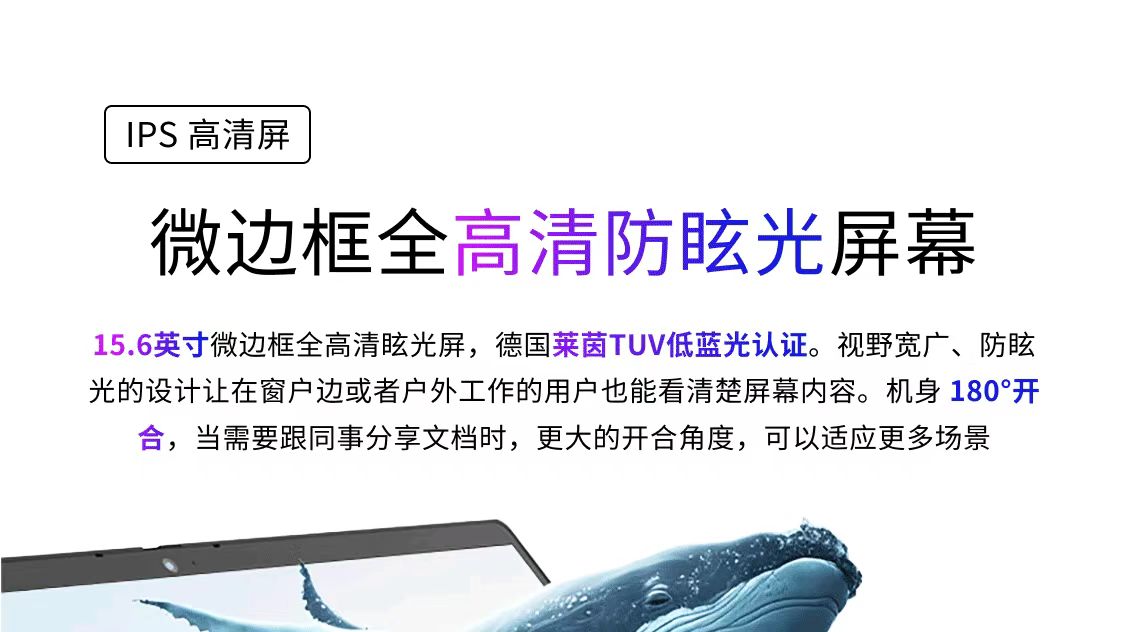 微信图片_20250314094426.jpg